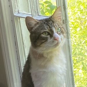 Meet your Posher, Jenny